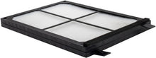 Load image into Gallery viewer, Baldwin PA5320 Insert for Cab Air Element