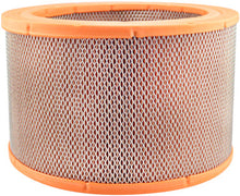 Load image into Gallery viewer, Baldwin PA5665 Air Element
