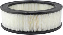 Load image into Gallery viewer, Baldwin PA607 Air Element