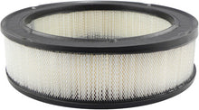 Load image into Gallery viewer, Baldwin PA615 Air Element