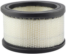 Load image into Gallery viewer, Baldwin PA649 Air Element