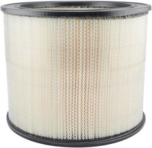 Load image into Gallery viewer, Baldwin PA651 Cab Air Element
