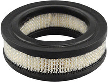 Load image into Gallery viewer, Baldwin PA677 Air Element