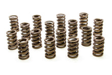 Load image into Gallery viewer, PAC RACING SPRINGS PAC-1200 1.244 Single Valve Springs w/Damper - (16)
