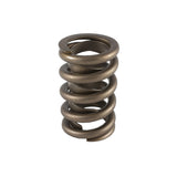 PAC RACING SPRINGS PAC-1201-1 1.260 Single Valve Spring w/Damper (1pk)