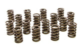 PAC RACING SPRINGS PAC-1201 1.260 Single Valve Springs w/Damper - (16)
