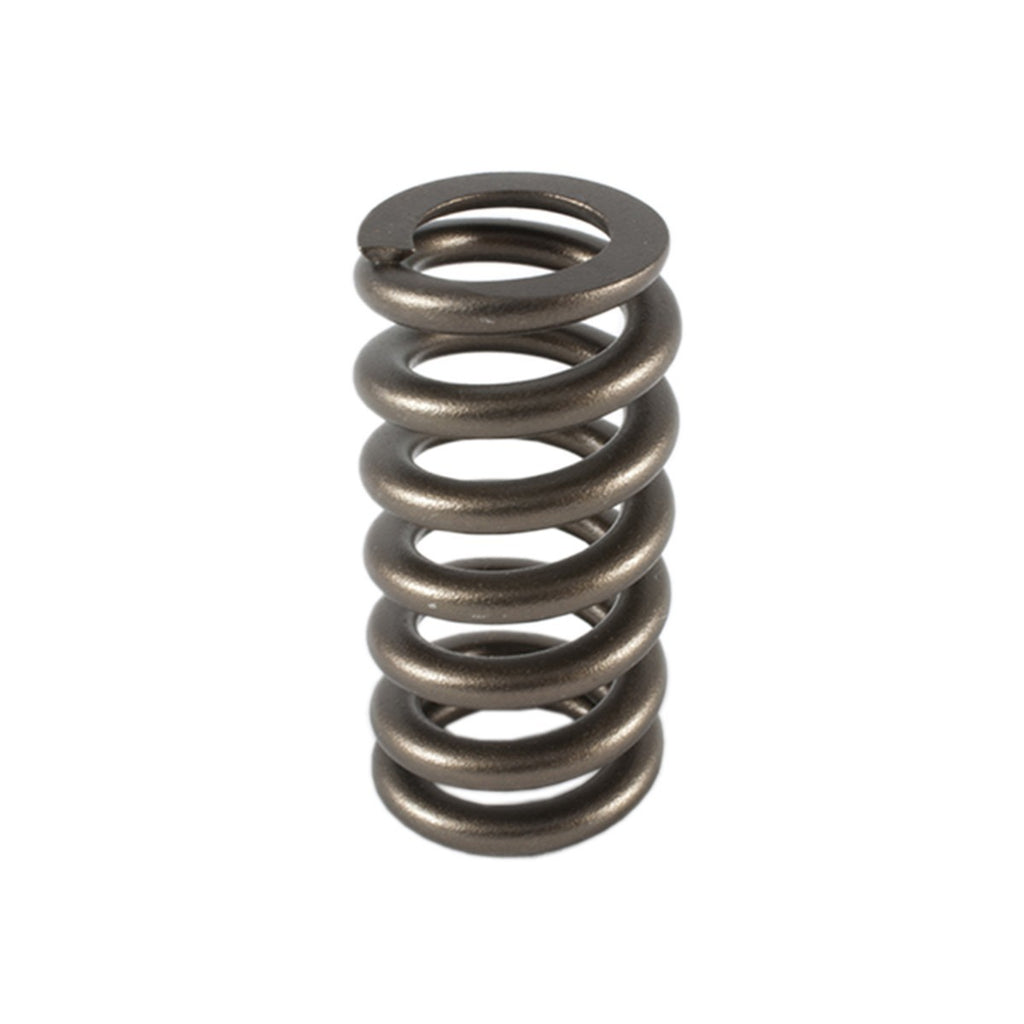 PAC RACING SPRINGS PAC-1219-1 1.307 Valve Spring - 1pk Ovate Beehive