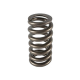 PAC RACING SPRINGS PAC-1219-1 1.307 Valve Spring - 1pk Ovate Beehive