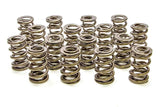PAC RACING SPRINGS PAC-1228 1.625 Dual Valve Springs - (16)