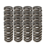 PAC RACING SPRINGS PAC-1233 1.025 Valve Springs - Ovate Beehive (16)