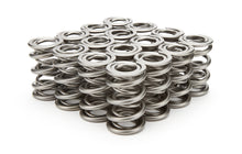 Load image into Gallery viewer, PAC RACING SPRINGS PAC-1328 1.625 Dual Valve Springs - (16)