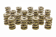 Load image into Gallery viewer, PAC RACING SPRINGS PAC-1347 1.645 Triple Valve Springs - (16)