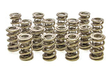 PAC RACING SPRINGS PAC-1351 1.667 Triple Valve Springs - (16)