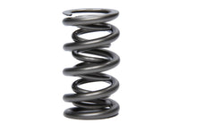 Load image into Gallery viewer, PAC RACING SPRINGS PAC-1356-1 1.500 Dual Valve Spring (1)