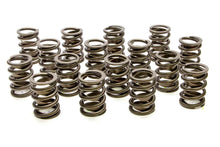 Load image into Gallery viewer, PAC RACING SPRINGS PAC-1900 Valve Springs - HR Series (16)
