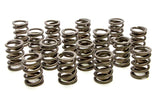 PAC RACING SPRINGS PAC-1900 Valve Springs - HR Series (16)