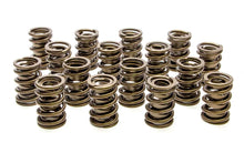 Load image into Gallery viewer, PAC RACING SPRINGS PAC-1901 Valve Springs - HR Series (16)