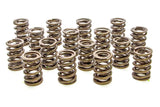 PAC RACING SPRINGS PAC-1908 Valve Springs - HR Series (16)