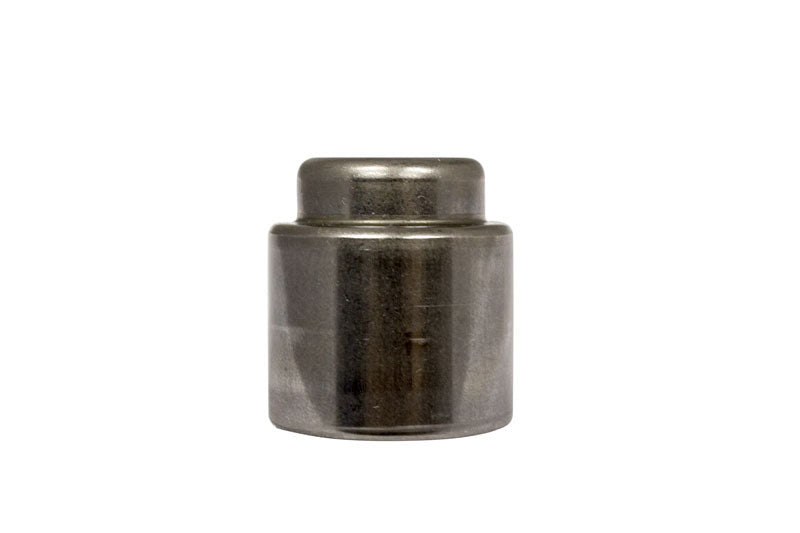 Act-06-08-Audi-A4-(-B7-)-Pilot-Bearing