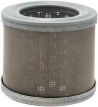 Load image into Gallery viewer, Baldwin PF46241 Wire Mesh Fuel Element