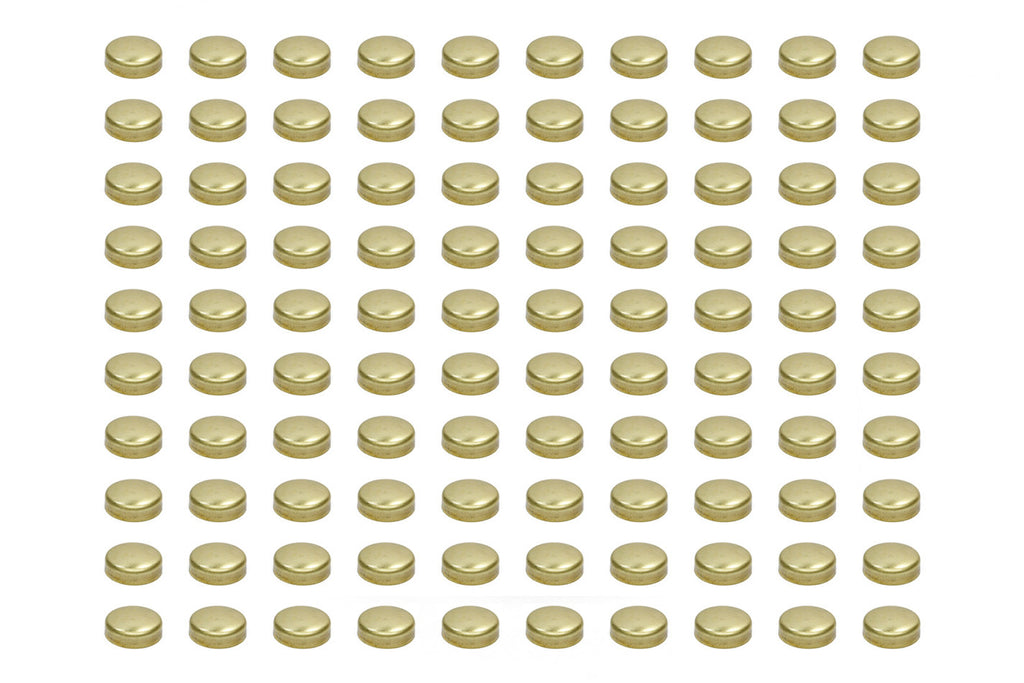 PIONEER EPC-41-B-100 Expansion Plugs - 1-5/8 Brass (100pk)