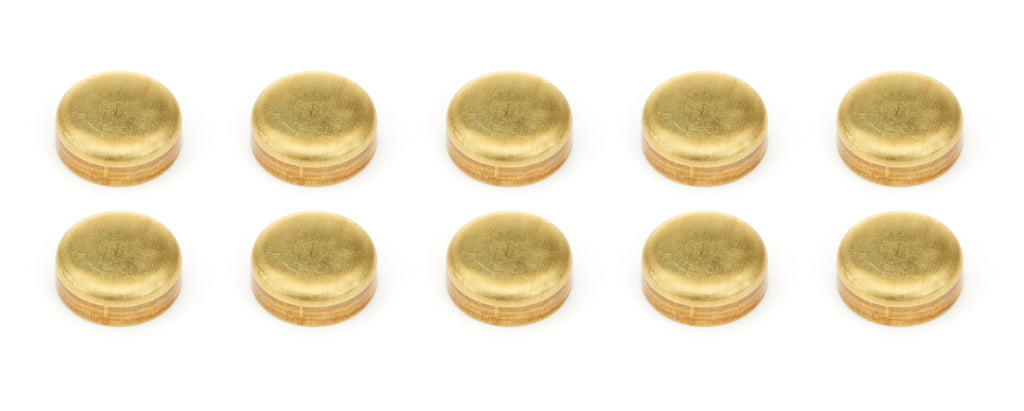 PIONEER EPC-80-B-10 Expansion Plugs 10pk - Brass 1-3/8 Dia