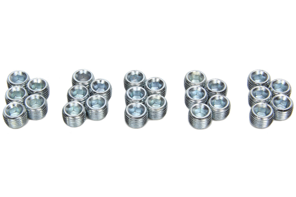 PIONEER PP-454-25 1/4-NPT Pipe Plugs 25pk w/Oil Relief Hole