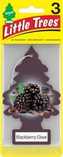 Load image into Gallery viewer, Little Trees U3S-37343 Blackberry Clove, 3-Pack