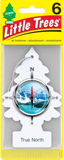 Little Trees U6P-67146 True North, 6-Pack