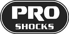 PRO SHOCK 100 Pro Shock Street 2019