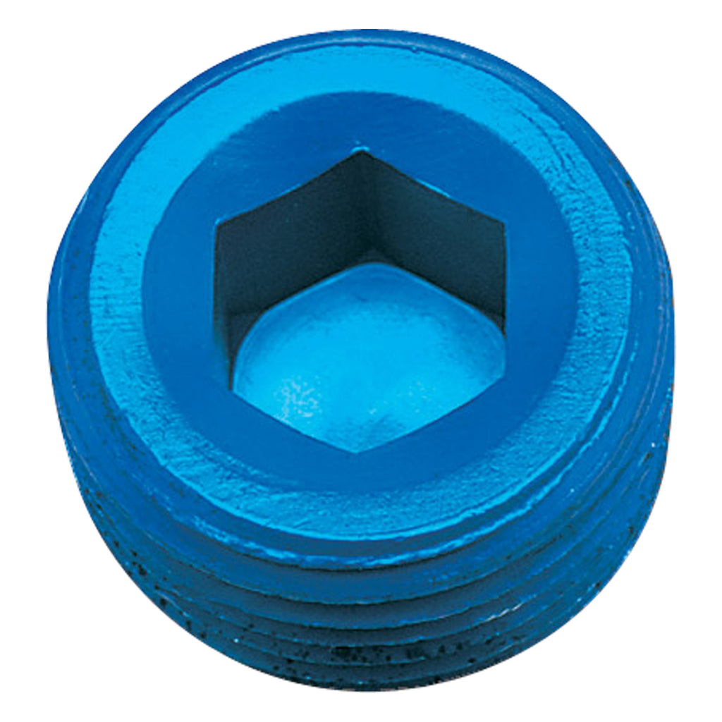 Performance-12In-Allen-Socket-Pipe-Plug-(Blue)