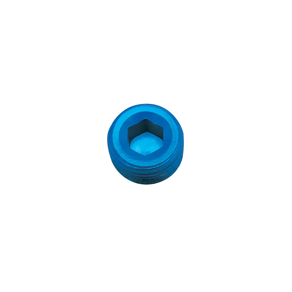 Performance-14In-Allen-Socket-Pipe-Plug-(Blue)