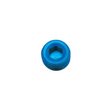 Load image into Gallery viewer, Performance-14In-Allen-Socket-Pipe-Plug-(Blue)
