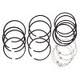 OMIX-ADA 17430.22 Piston Ring Set (3.8L or 4.2L), .040 inch Over, 1972-1990 Models