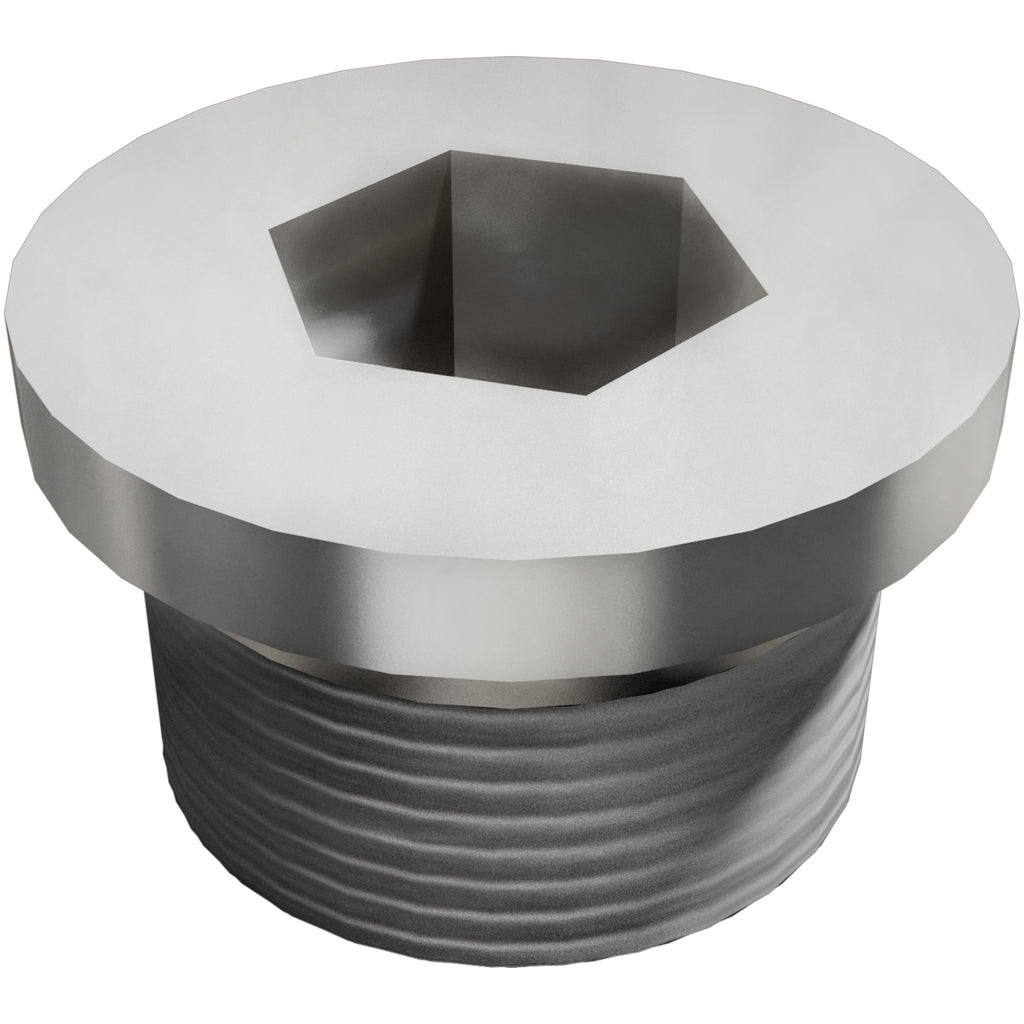 Plug-Hex-Flange-O2-Boss-(20-Pk)