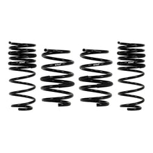 Load image into Gallery viewer, Pro-Kit-Performance-Springs-(Set-Of-4-Springs)