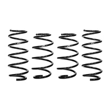 Load image into Gallery viewer, Pro-Kit-Performance-Springs-(Set-Of-4-Springs)
