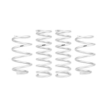 Load image into Gallery viewer, Pro-Lift-Kit-Springs-(Front--Rear-Springs)