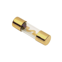 Load image into Gallery viewer, Metra Electronics RAGU60-5 AGU Fuse
