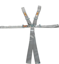 Load image into Gallery viewer, RCI 9210PL Harness System 5/6pt P/D L/L Platinum