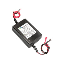 Load image into Gallery viewer, REESE 2024-07 DC to DC Heavy Duty Quic k/Maintenance (Multi Sta