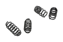 Load image into Gallery viewer, REKUDO RK200-10 18-20 Tesla Model 3 Drop Springs