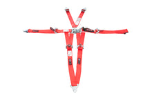 Load image into Gallery viewer, RJS SAFETY 1000104 Harness L&amp;L 2in P/D