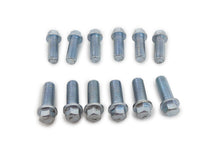 Load image into Gallery viewer, RACING POWER CO-PACKAGED R0938 Header Bolt Kit 3/8in Zinc Set Of 12
