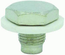 Load image into Gallery viewer, RACING POWER CO-PACKAGED R9062 Magnetic Drain Plug W/ Washer