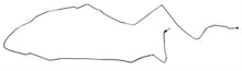 Load image into Gallery viewer, RIGHT STUFF DETAILING BIN9501S 95 - 96 Impala SS Front to rear Brake Line Kit