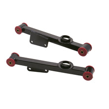 Load image into Gallery viewer, Rear-Lower-Control-Arms---Steel