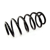 OMIX-ADA 18283.02 R Replacement Coil Spring