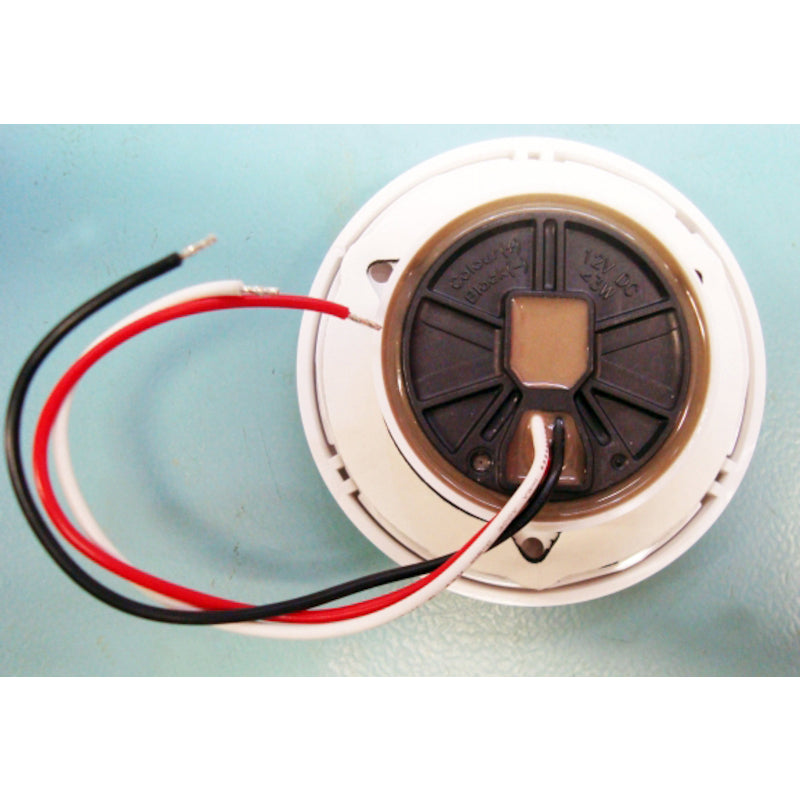 Round-WhiteRed---White-Bezel-Screw