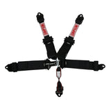 SIMPSON SAFETY 132LD5WC Harness 5pt LL Pull-Down 3in / 2in Hans Shldr